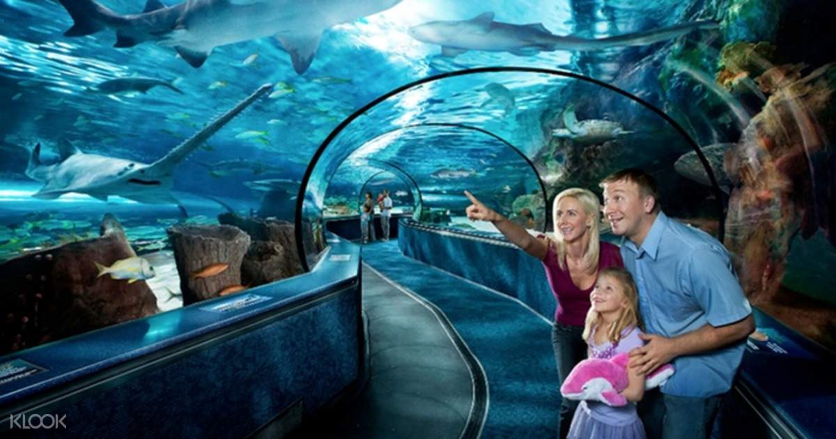 Ripley's Aquarium of Myrtle Beach Combo Ticket Klook US